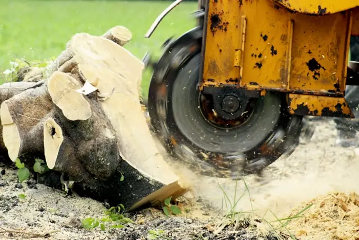 Stump grinding in Madison, MS